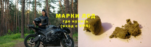стафф Белокуриха
