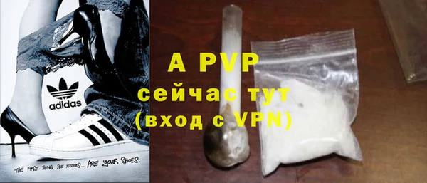 индика Белоозёрский