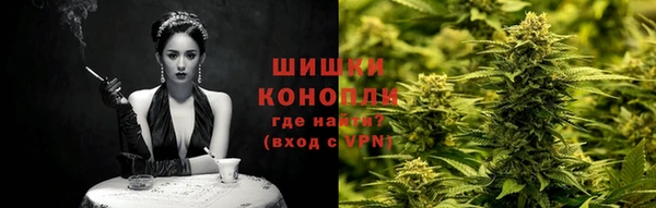 индика Белоозёрский
