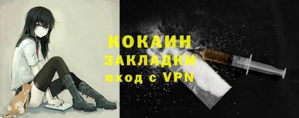 индика Белоозёрский