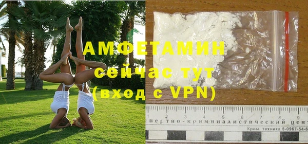 индика Белоозёрский