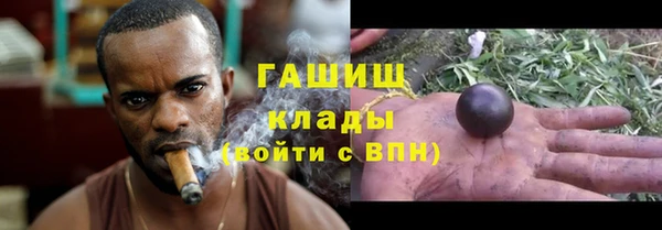 индика Белоозёрский