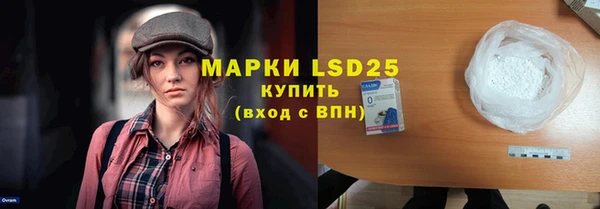 индика Белоозёрский