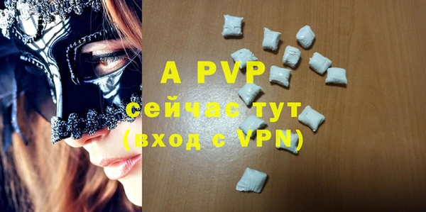 индика Белоозёрский