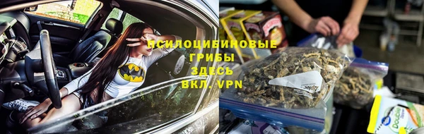 стафф Белокуриха