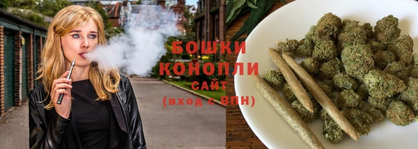 индика Белоозёрский