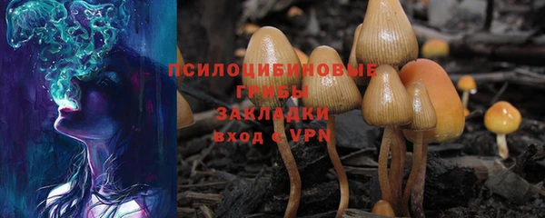 стафф Белокуриха