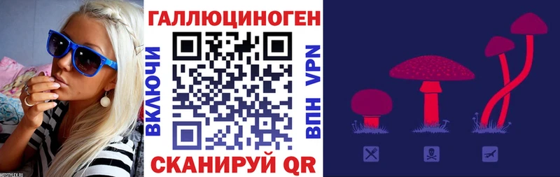 купить наркотик  МЕГА как зайти  Псилоцибиновые грибы мицелий  Сольвычегодск 